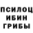 Псилоцибиновые грибы мухоморы Raqeeb Abdulla