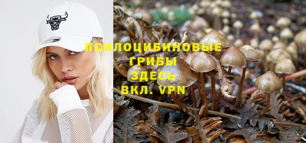 мдпв Заволжск