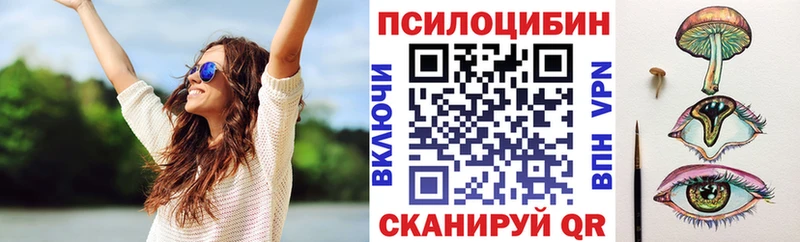 блэк спрут ССЫЛКА  Пенза  Галлюциногенные грибы Psilocybine cubensis  купить  