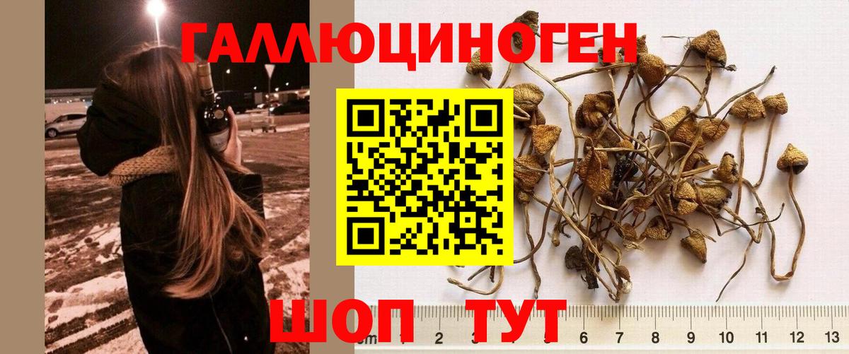Пенза  Псилоцибиновые грибы ЛСД  Вход с VPN  Галлюциногенные грибы ЛСД 