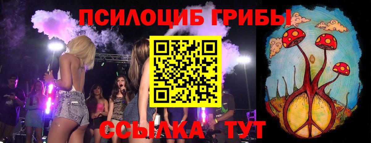 Псилоцибиновые грибы Psilocybe Пенза